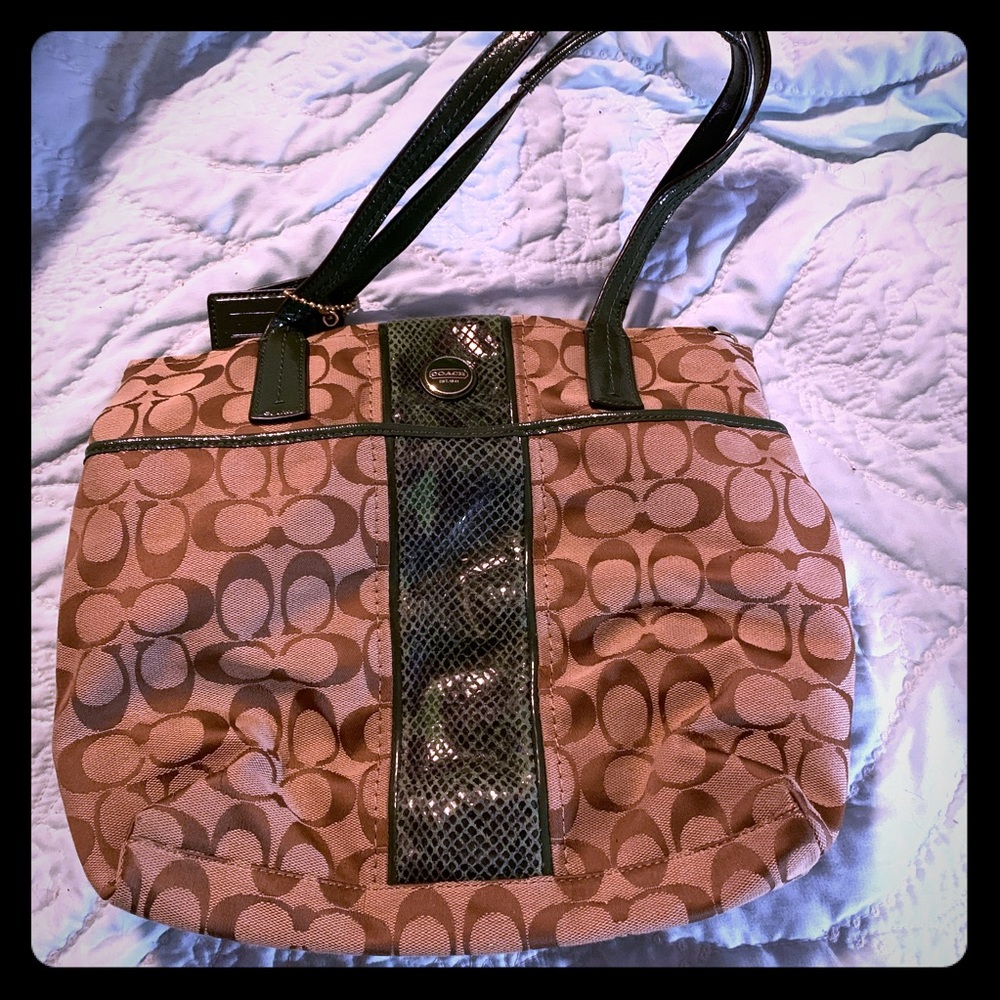 Coach Signature Stripe Python Stripe Tote